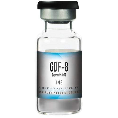 GDF-8 (Myostatin HMP)